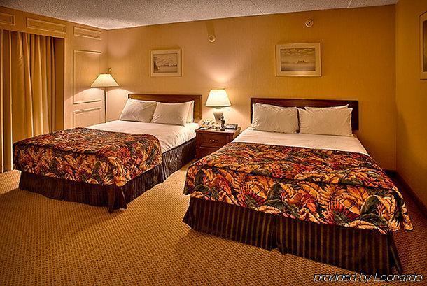Black Knight Inn Red Deer Quarto foto